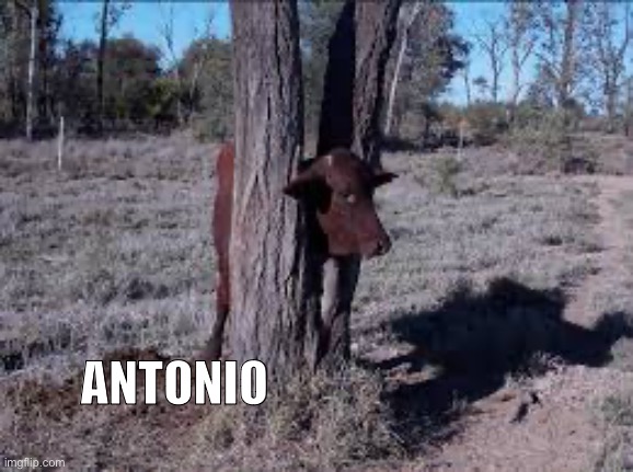 ANTONIO | made w/ Imgflip meme maker