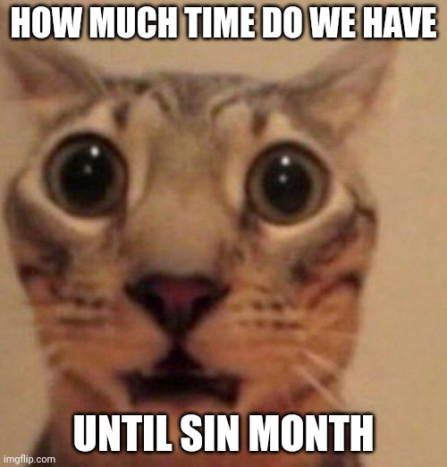 Shocked cat | HOW MUCH TIME DO WE HAVE; UNTIL SIN MONTH | image tagged in shocked cat | made w/ Imgflip meme maker