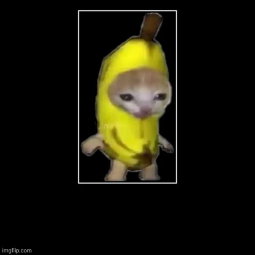 banana cat | image tagged in banana cat | made w/ Imgflip meme maker