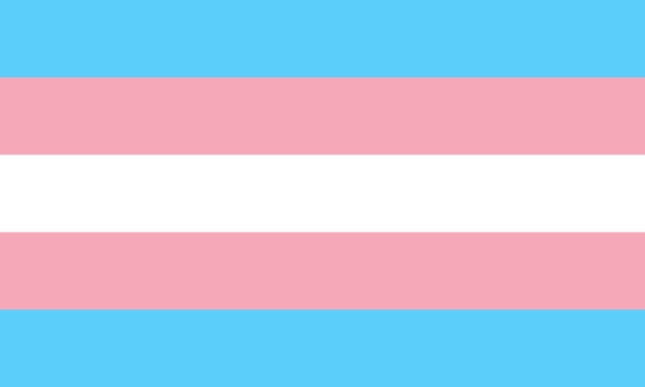 Trans Flag | image tagged in trans flag | made w/ Imgflip meme maker
