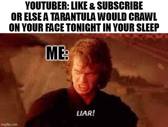 Smart people like me whenever a YouTuber says this in their intro... | YOUTUBER: LIKE & SUBSCRIBE OR ELSE A TARANTULA WOULD CRAWL ON YOUR FACE TONIGHT IN YOUR SLEEP; ME: | image tagged in anakin liar,youtubers,scammers,scammer,internet scam,like and share | made w/ Imgflip meme maker