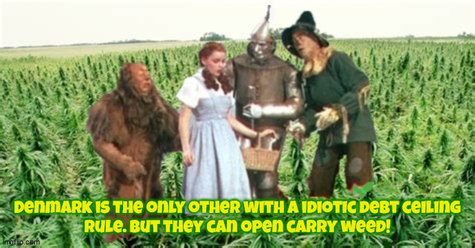 Debt limit rules | Denmark is the only other with a idiotic debt ceiling rule. But they can open carry weed! | image tagged in guns,weed,life,death,get stoned,get shot | made w/ Imgflip meme maker