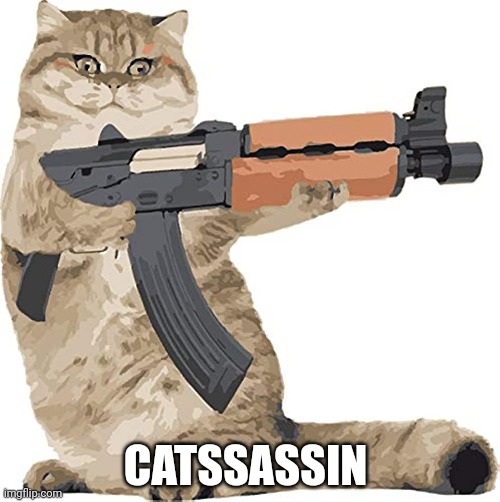 Runnnnnnnnn! | CATSSASSIN | image tagged in oh no,he's got a gun,runnnnnnnnn,cats | made w/ Imgflip meme maker