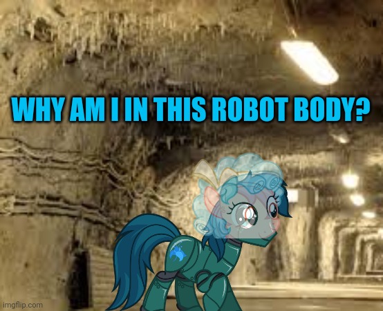 WHY AM I IN THIS ROBOT BODY? | made w/ Imgflip meme maker