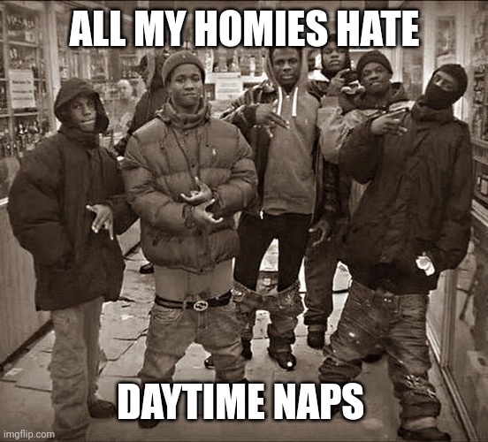 All My Homies Hate | ALL MY HOMIES HATE; DAYTIME NAPS | image tagged in all my homies hate | made w/ Imgflip meme maker