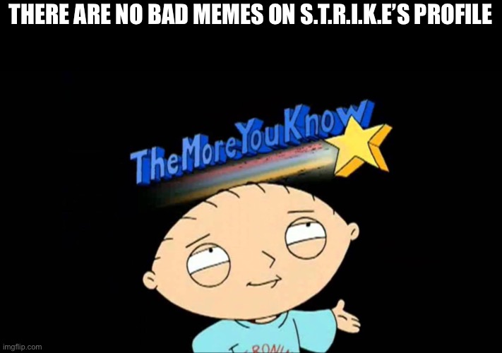 the more you know stewie | THERE ARE NO BAD MEMES ON S.T.R.I.K.E’S PROFILE | image tagged in the more you know stewie | made w/ Imgflip meme maker