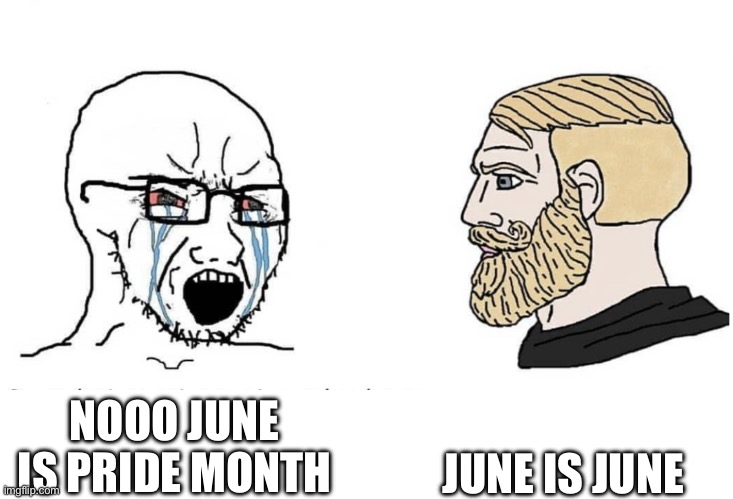 If you hate it so much why do you keep bringing it up | JUNE IS JUNE; NOOO JUNE IS PRIDE MONTH | image tagged in soyboy vs yes chad | made w/ Imgflip meme maker