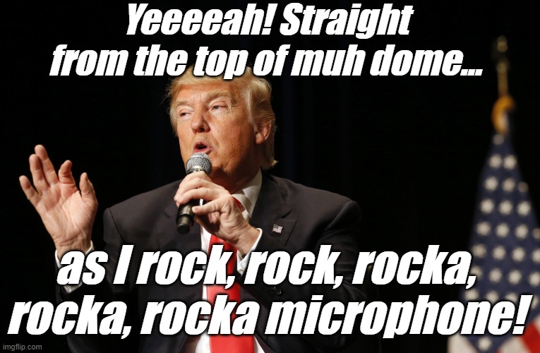 Free-Sty-lah...          Bet! | Yeeeeah! Straight from the top of muh dome... as I rock, rock, rocka, rocka, rocka microphone! | image tagged in president trump,usa,hope,patriot,revolution,liberty | made w/ Imgflip meme maker