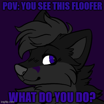 POV: YOU SEE THIS FLOOFER; WHAT DO YOU DO? | made w/ Imgflip meme maker