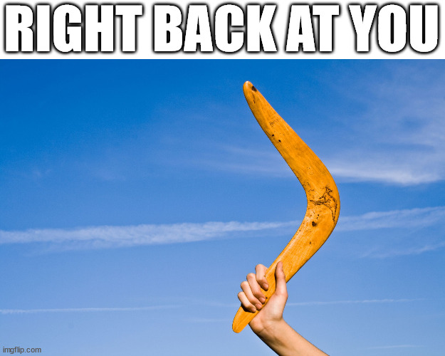 boomerang | RIGHT BACK AT YOU | image tagged in boomerang | made w/ Imgflip meme maker