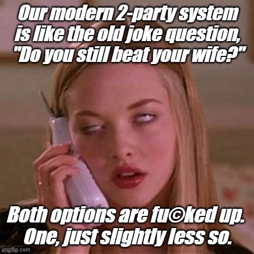 When Karen thinks it's stupid... You got a real problem. | Our modern 2-party system is like the old joke question, "Do you still beat your wife?"; Both options are fu©ked up. 
One, just slightly less so. | image tagged in liberals,democrats,lgbtq,blm,antifa,criminals | made w/ Imgflip meme maker