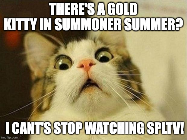 Scared Cat | THERE'S A GOLD KITTY IN SUMMONER SUMMER? I CANT'S STOP WATCHING SPLTV! | image tagged in memes,scared cat | made w/ Imgflip meme maker