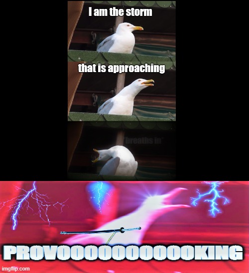 Do you feel motivated? | image tagged in devil may cry,inhaling seagull | made w/ Imgflip meme maker