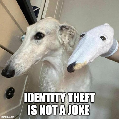 Identity theft is not a joke | IDENTITY THEFT IS NOT A JOKE | image tagged in identity theft,dog memes | made w/ Imgflip meme maker