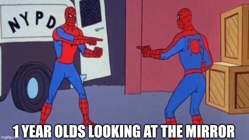 spiderman pointing at spiderman | 1 YEAR OLDS LOOKING AT THE MIRROR | image tagged in spiderman pointing at spiderman | made w/ Imgflip meme maker