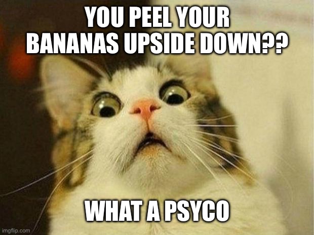 I know someone will reply and say that it is a life hack. Smh | YOU PEEL YOUR BANANAS UPSIDE DOWN?? WHAT A PSYCHO | image tagged in memes,scared cat | made w/ Imgflip meme maker