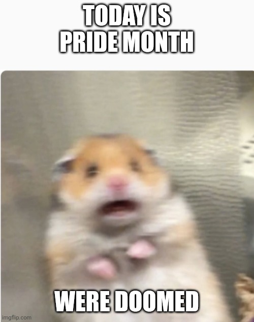 paniked hamster | TODAY IS PRIDE MONTH; WERE DOOMED | image tagged in paniked hamster | made w/ Imgflip meme maker