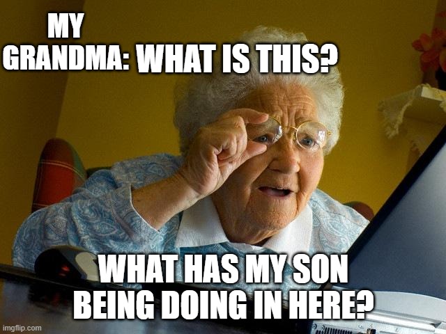 She will not go to sleep i guess | MY GRANDMA:; WHAT IS THIS? WHAT HAS MY SON BEING DOING IN HERE? | image tagged in memes,grandma finds the internet,google search,search,history | made w/ Imgflip meme maker