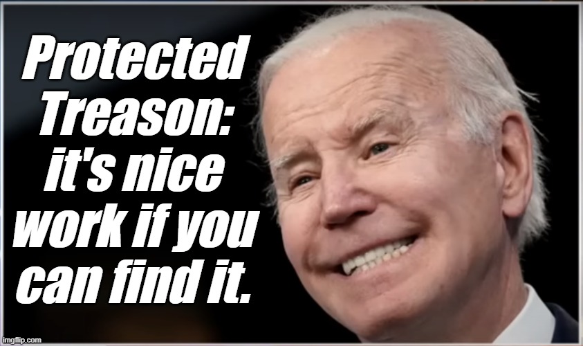 joe biden - Geezer, Goon, Groper | Protected Treason:
it's nice work if you can find it. | image tagged in joe biden - geezer goon groper | made w/ Imgflip meme maker