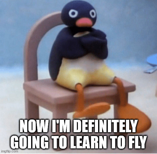 Angry penguin | NOW I'M DEFINITELY GOING TO LEARN TO FLY | image tagged in angry penguin | made w/ Imgflip meme maker
