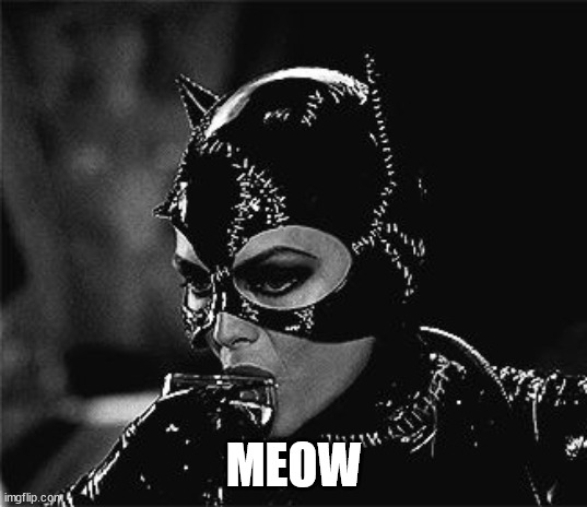 Droll Catwoman | MEOW | image tagged in droll catwoman | made w/ Imgflip meme maker