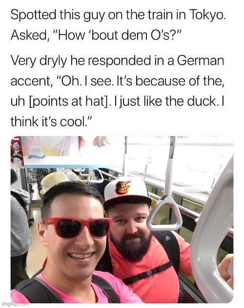 The Ducks | image tagged in ducks,o | made w/ Imgflip meme maker