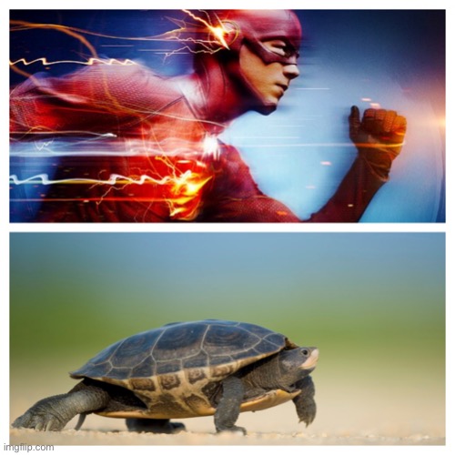 Fast vs. Slow | image tagged in fast vs slow | made w/ Imgflip meme maker
