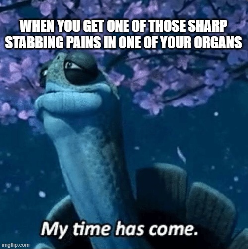 stabbing pain in organs | WHEN YOU GET ONE OF THOSE SHARP STABBING PAINS IN ONE OF YOUR ORGANS | image tagged in my time has come | made w/ Imgflip meme maker