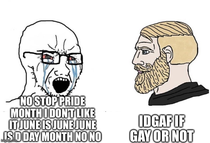 Real sigmas spread positivity | IDGAF IF GAY OR NOT; NO STOP PRIDE MONTH I DON’T LIKE IT JUNE IS JUNE JUNE IS D DAY MONTH NO NO | image tagged in soyboy vs yes chad | made w/ Imgflip meme maker