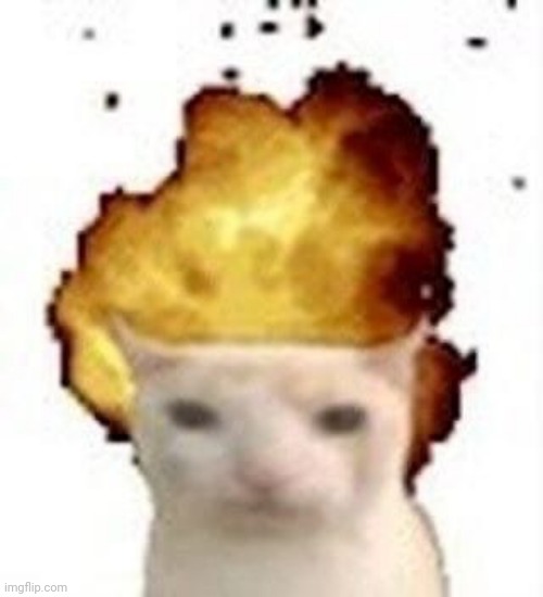 Al-Cat | image tagged in legalize nuclear bombs | made w/ Imgflip meme maker