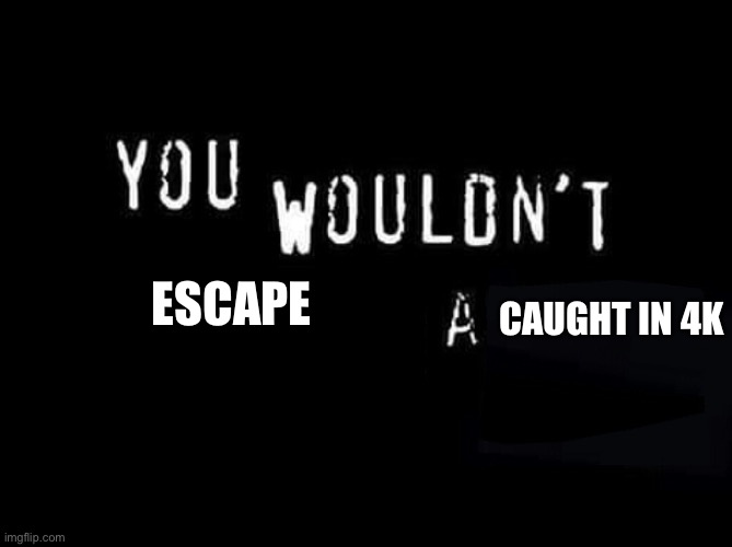 You wouldn’t X a Y | ESCAPE; CAUGHT IN 4K | image tagged in you wouldn t x a y | made w/ Imgflip meme maker