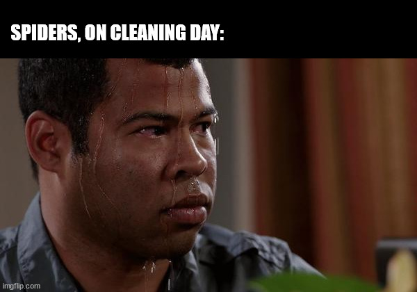 escalated quickly | SPIDERS, ON CLEANING DAY: | image tagged in sweating bullets,spider,spiders,cleaning | made w/ Imgflip meme maker