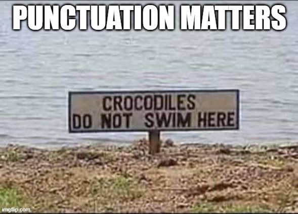 Go Ahead, Swim | PUNCTUATION MATTERS | image tagged in you had one job | made w/ Imgflip meme maker