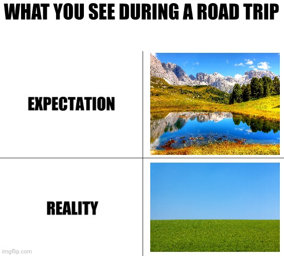 Yay, grass! | WHAT YOU SEE DURING A ROAD TRIP | image tagged in expectation vs reality,roadtrip,road,travel,traveling,trip | made w/ Imgflip meme maker