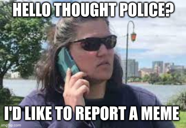 karen on phone | HELLO THOUGHT POLICE? I'D LIKE TO REPORT A MEME | image tagged in karen on phone | made w/ Imgflip meme maker
