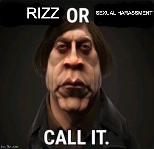 Rizz or Sexual Harassment | image tagged in rizz or sexual harassment | made w/ Imgflip meme maker