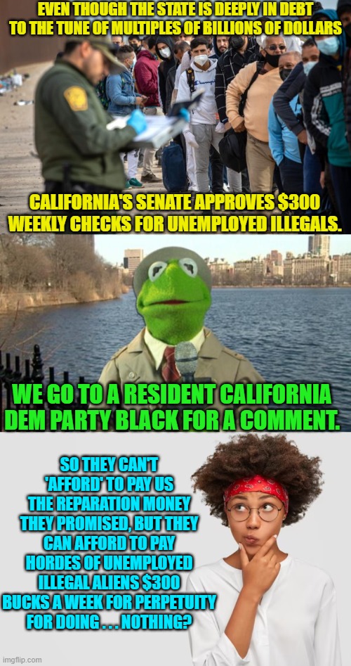 To leftists, Blacks are only useful during presidential campaign riot season. | EVEN THOUGH THE STATE IS DEEPLY IN DEBT TO THE TUNE OF MULTIPLES OF BILLIONS OF DOLLARS; CALIFORNIA'S SENATE APPROVES $300 WEEKLY CHECKS FOR UNEMPLOYED ILLEGALS. WE GO TO A RESIDENT CALIFORNIA DEM PARTY BLACK FOR A COMMENT. SO THEY CAN'T 'AFFORD' TO PAY US THE REPARATION MONEY THEY PROMISED, BUT THEY CAN AFFORD TO PAY HORDES OF UNEMPLOYED ILLEGAL ALIENS $300 BUCKS A WEEK FOR PERPETUITY FOR DOING . . . NOTHING? | image tagged in truth | made w/ Imgflip meme maker