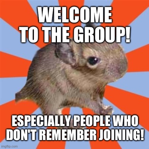 Admin group welcome for people with amnesia or DID / OSDD | WELCOME TO THE GROUP! ESPECIALLY PEOPLE WHO
DON'T REMEMBER JOINING! | image tagged in dissociative degu,dissociative identity disorder,admin,amnesia,brain fog,osdd | made w/ Imgflip meme maker
