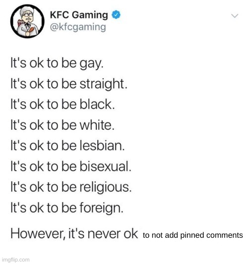 Based opinion | to not add pinned comments | image tagged in it's never ok to | made w/ Imgflip meme maker