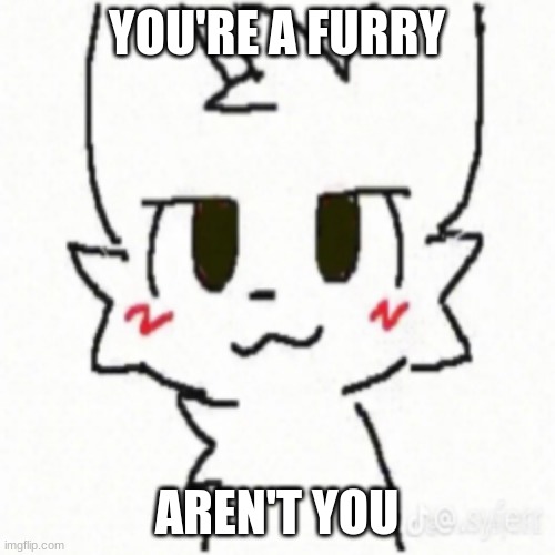 Boy Kisser | YOU'RE A FURRY AREN'T YOU | image tagged in boy kisser | made w/ Imgflip meme maker