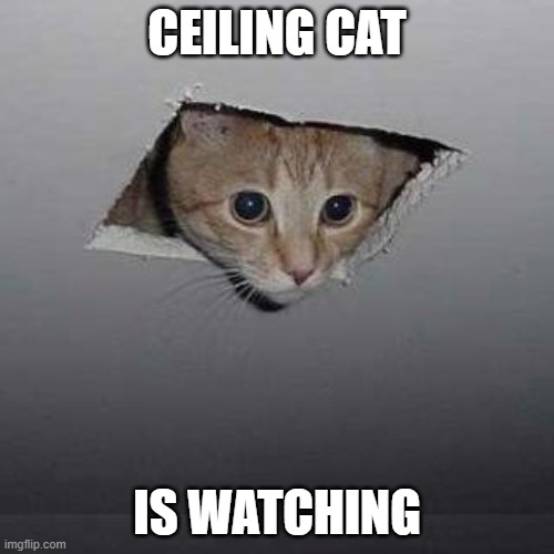 Ceiling Cat | CEILING CAT; IS WATCHING | image tagged in memes,ceiling cat | made w/ Imgflip meme maker