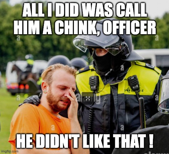 ALL I DID WAS CALL HIM A CHINK, OFFICER; HE DIDN'T LIKE THAT ! | made w/ Imgflip meme maker