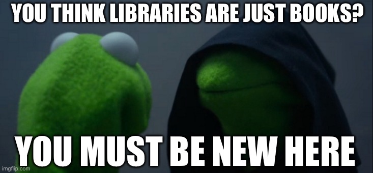 Evil Kermit Meme | YOU THINK LIBRARIES ARE JUST BOOKS? YOU MUST BE NEW HERE | image tagged in memes,evil kermit | made w/ Imgflip meme maker