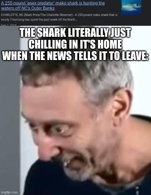 poor shark | THE SHARK LITERALLY JUST CHILLING IN IT'S HOME WHEN THE NEWS TELLS IT TO LEAVE: | image tagged in when michael rosen realised | made w/ Imgflip meme maker