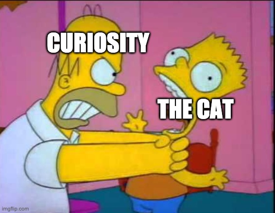 Homer strangling Bart | CURIOSITY; THE CAT | image tagged in homer strangling bart,cat,meme | made w/ Imgflip meme maker