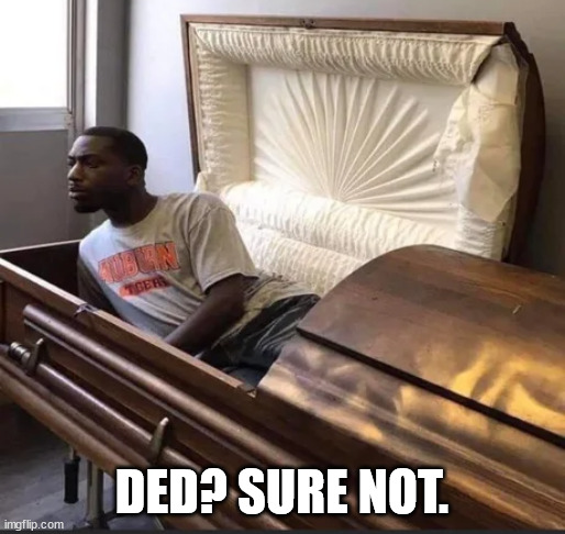 Coffin | DED? SURE NOT. | image tagged in coffin | made w/ Imgflip meme maker