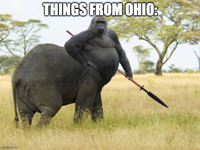 things from ohio | THINGS FROM OHIO: | image tagged in big butt gorillaphant,funny memes,funny meme,lol so funny | made w/ Imgflip meme maker