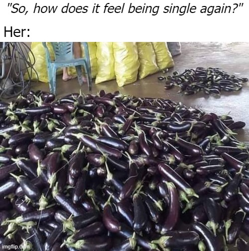 "So, how does it feel being single again?"; Her: | image tagged in funny,single life | made w/ Imgflip meme maker