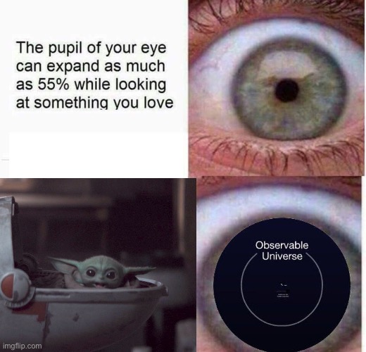 expanding eye | image tagged in expanding eye | made w/ Imgflip meme maker