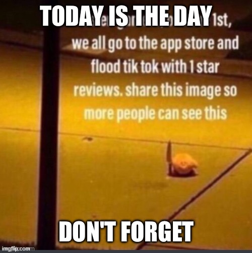 don't forget | TODAY IS THE DAY; DON'T FORGET | image tagged in flood tiktok on june 1st | made w/ Imgflip meme maker